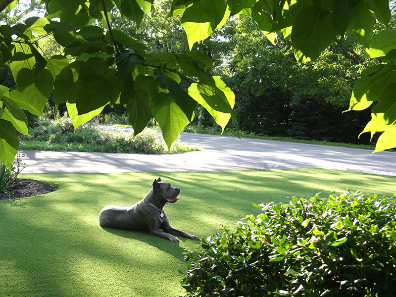 Pet-Turf